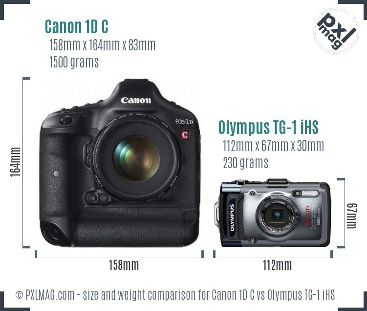 Canon 1D C vs Olympus TG-1 iHS size comparison
