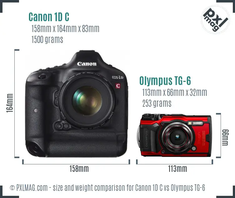 Canon 1D C vs Olympus TG-6 size comparison