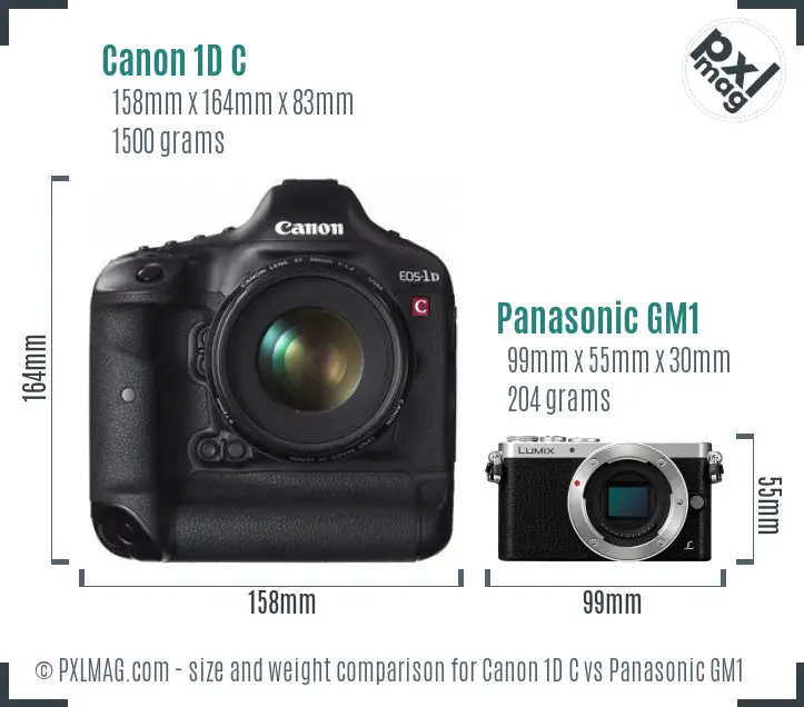 Canon 1D C vs Panasonic GM1 size comparison