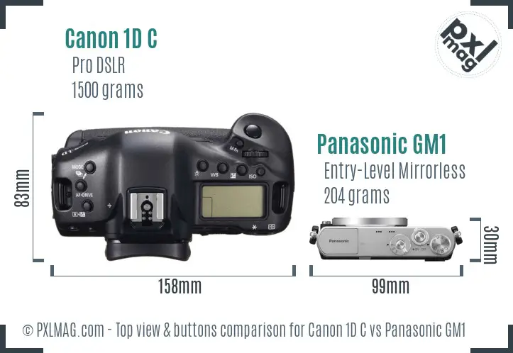 Canon 1D C vs Panasonic GM1 top view buttons comparison