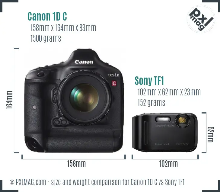 Canon 1D C vs Sony TF1 size comparison