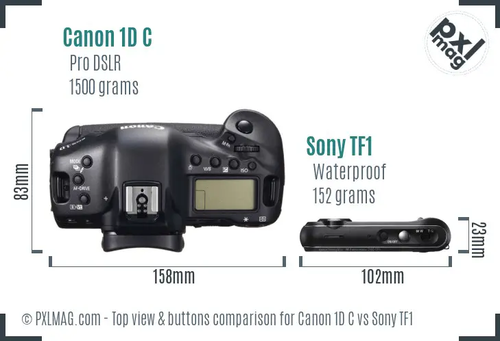 Canon 1D C vs Sony TF1 top view buttons comparison