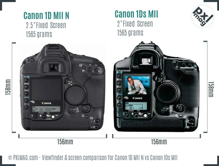 Canon 1D MII N vs Canon 1Ds MII Screen and Viewfinder comparison