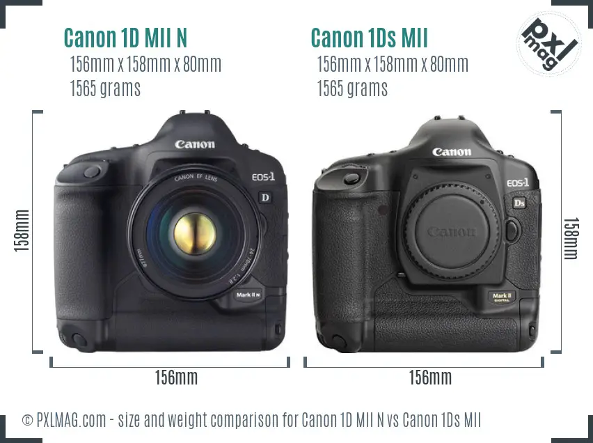 Canon 1D MII N vs Canon 1Ds MII size comparison