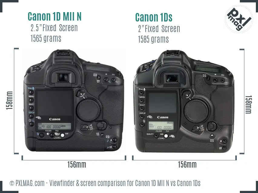 Canon 1D MII N vs Canon 1Ds Screen and Viewfinder comparison