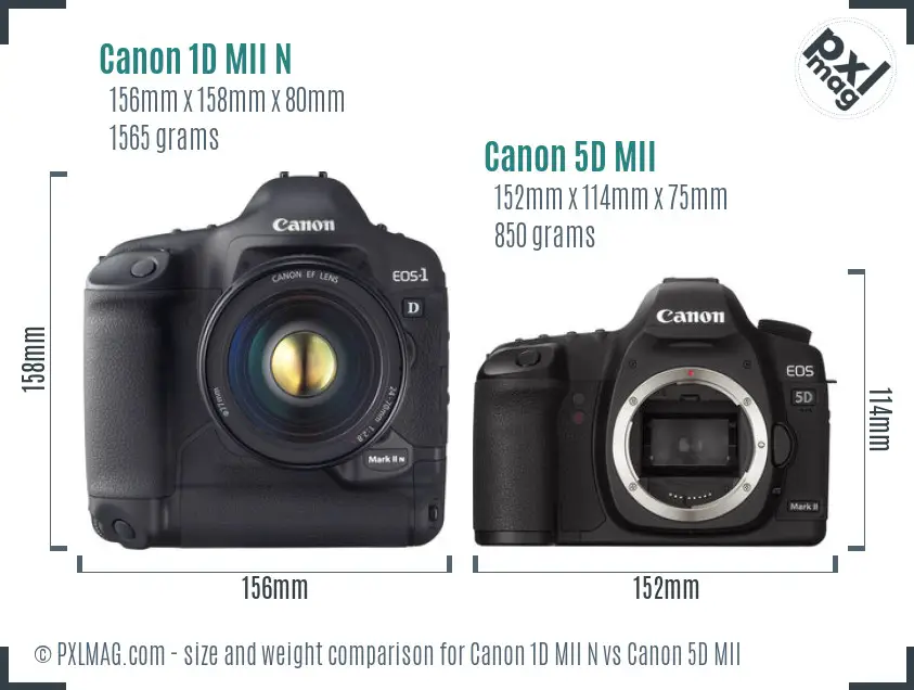Canon 1D MII N vs Canon 5D MII size comparison Canon 1D MII N vs Canon 5D MII size comparison