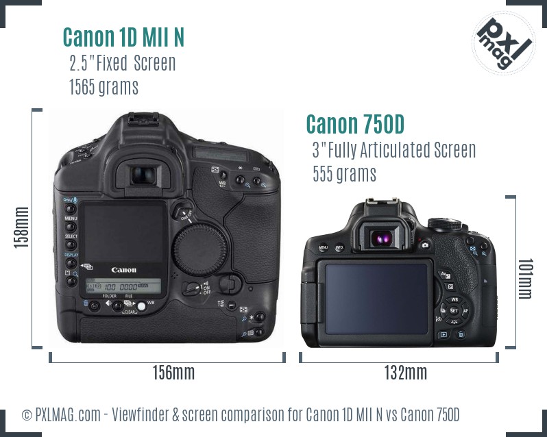Canon 1D MII N vs Canon 750D Screen and Viewfinder comparison