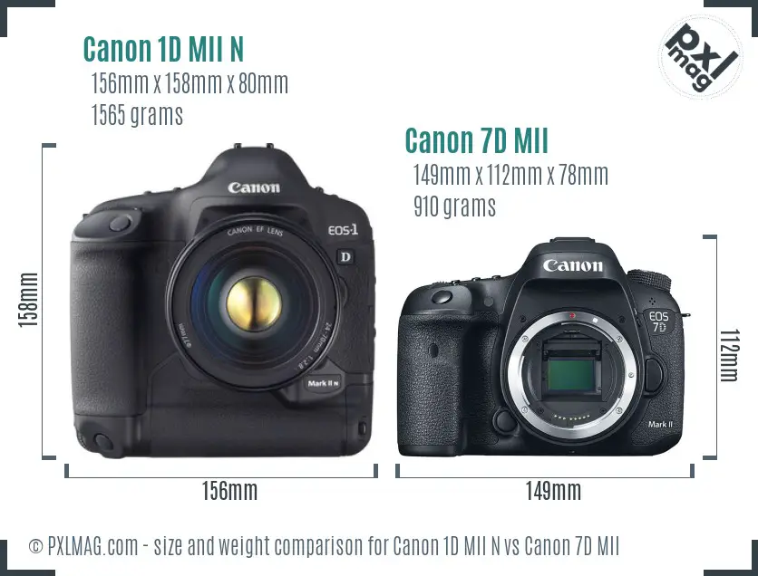 Canon 1D MII N vs Canon 7D MII size comparison