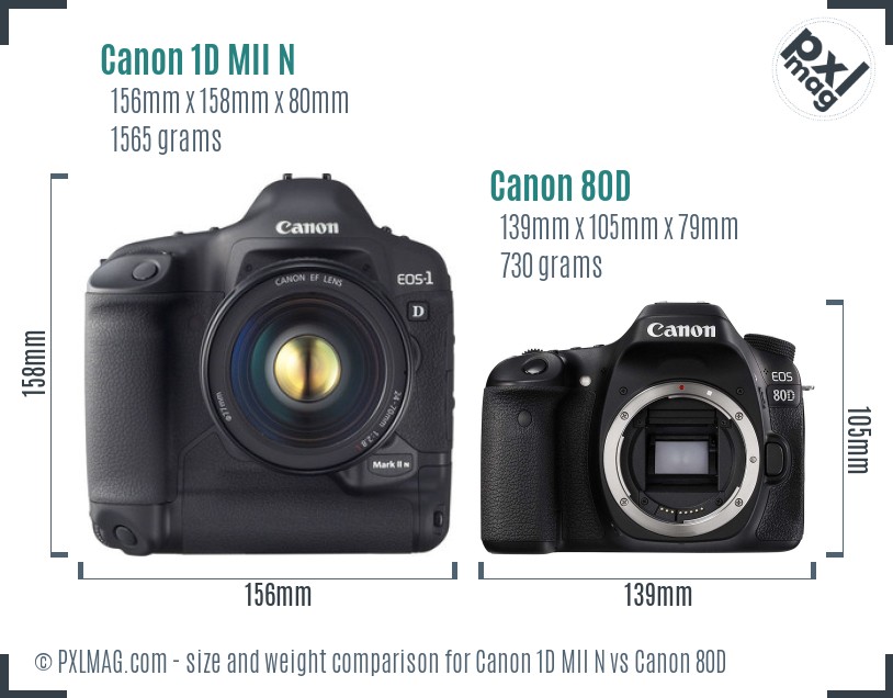 Canon 1D MII N vs Canon 80D size comparison