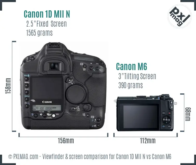 Canon 1D MII N vs Canon M6 Screen and Viewfinder comparison