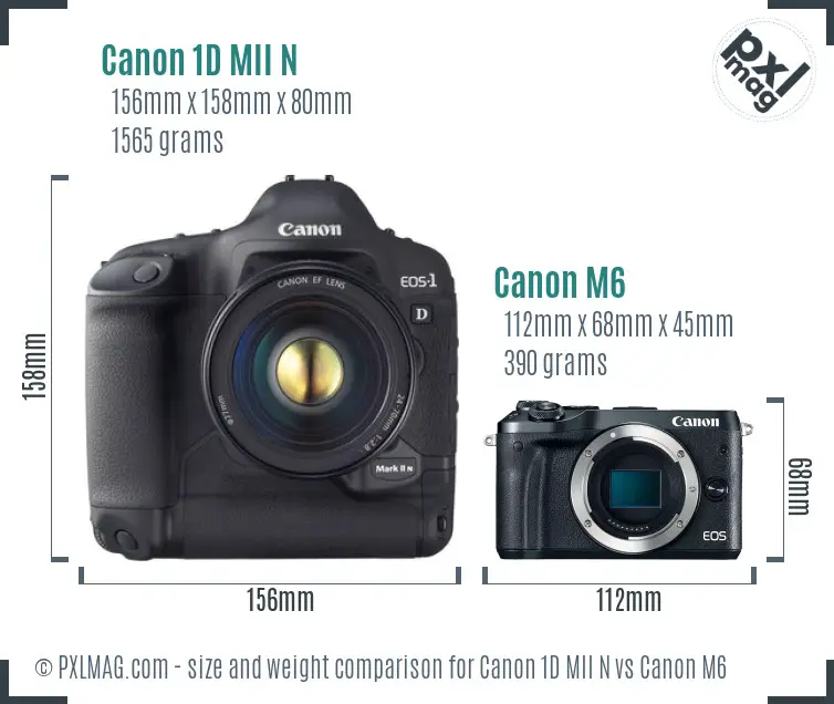 Canon 1D MII N vs Canon M6 size comparison