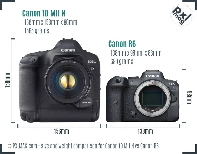 Canon 1D MII N vs Canon R6 size comparison