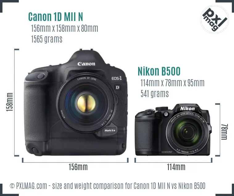 Canon 1D MII N vs Nikon B500 size comparison