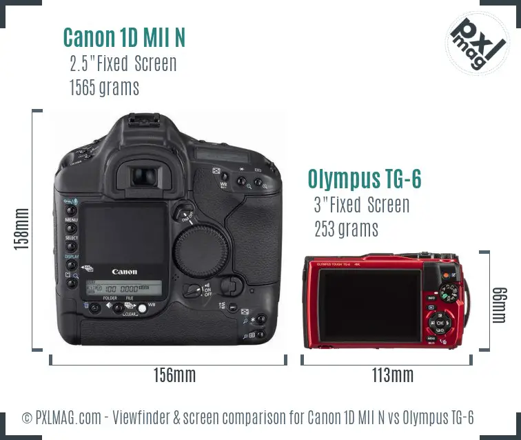 Canon 1D MII N vs Olympus TG-6 Screen and Viewfinder comparison