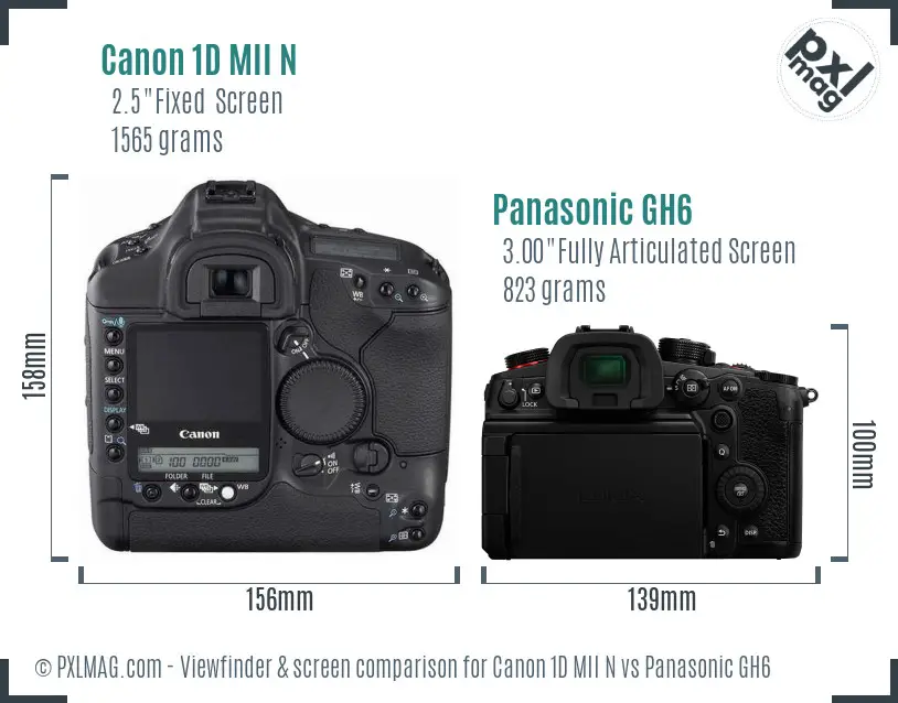 Canon 1D MII N vs Panasonic GH6 Screen and Viewfinder comparison Canon 1D MII N vs Panasonic GH6 Screen and Viewfinder comparison