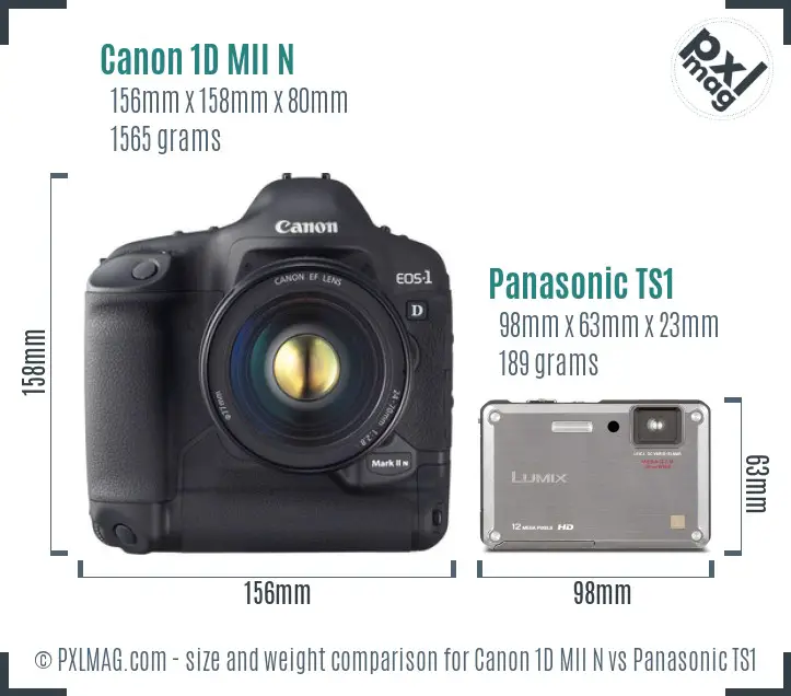Canon 1D MII N vs Panasonic TS1 size comparison Canon 1D MII N vs Panasonic TS1 size comparison