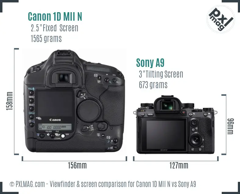 Canon 1D MII N vs Sony A9 Screen and Viewfinder comparison
