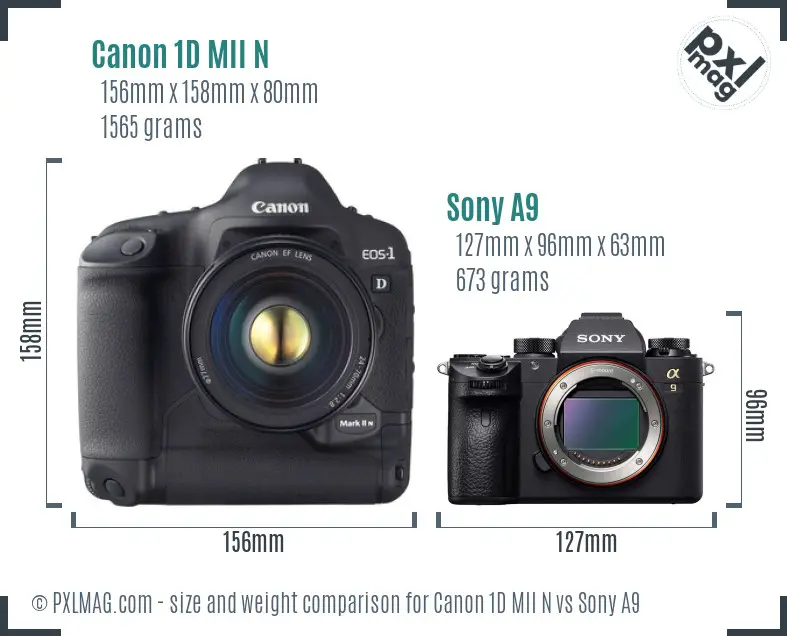 Canon 1D MII N vs Sony A9 size comparison