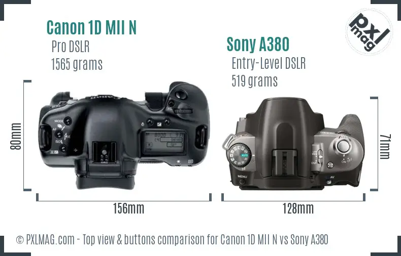 Canon 1D MII N vs Sony A380 top view buttons comparison