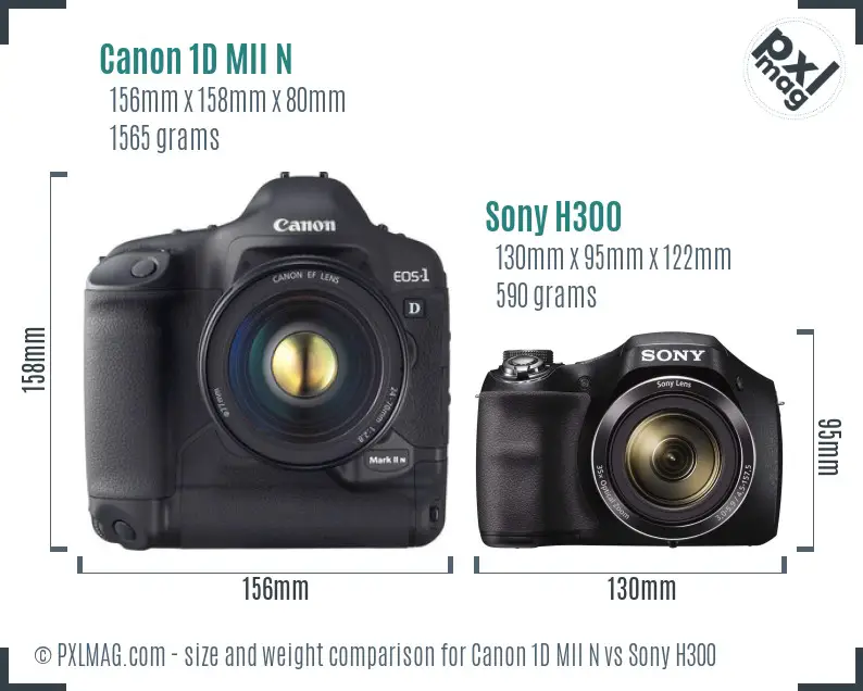 Canon 1D MII N vs Sony H300 size comparison