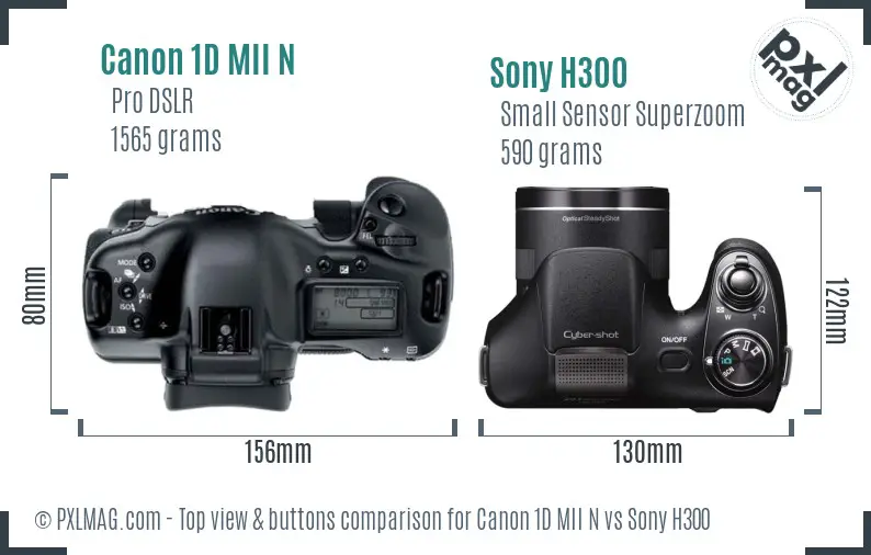 Canon 1D MII N vs Sony H300 top view buttons comparison