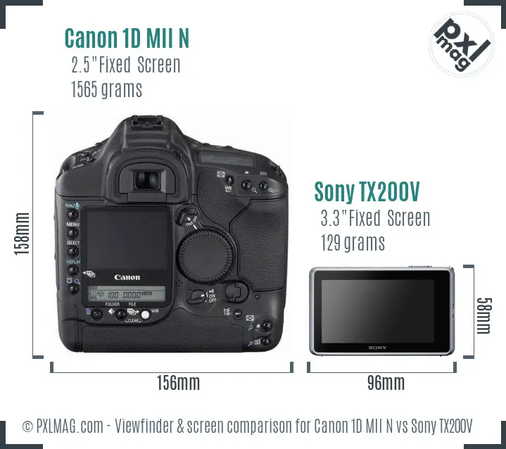 Canon 1D MII N vs Sony TX200V Screen and Viewfinder comparison