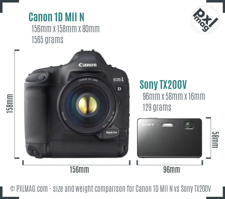 Canon 1D MII N vs Sony TX200V size comparison