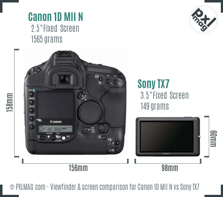 Canon 1D MII N vs Sony TX7 Screen and Viewfinder comparison