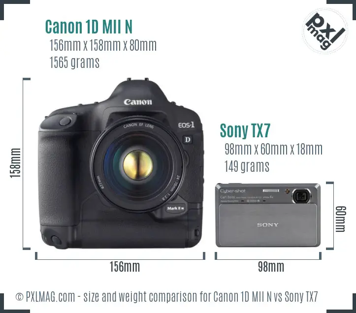 Canon 1D MII N vs Sony TX7 size comparison