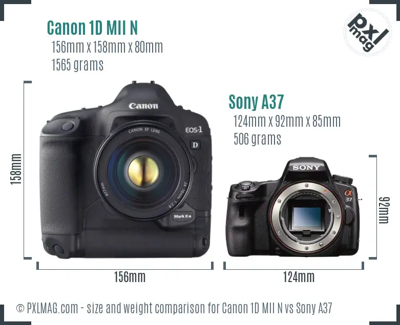 Canon 1D MII N vs Sony A37 size comparison