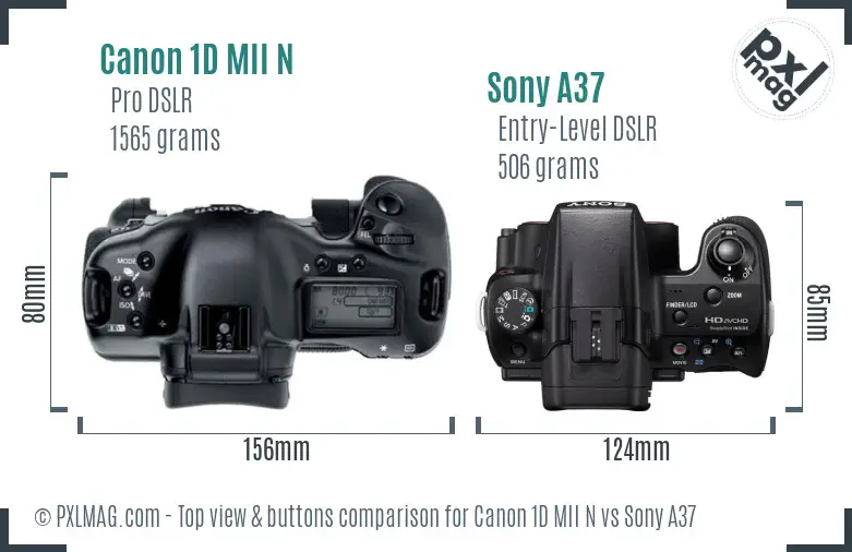 Canon 1D MII N vs Sony A37 top view buttons comparison
