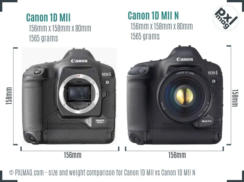 Canon 1D MII vs Canon 1D MII N size comparison