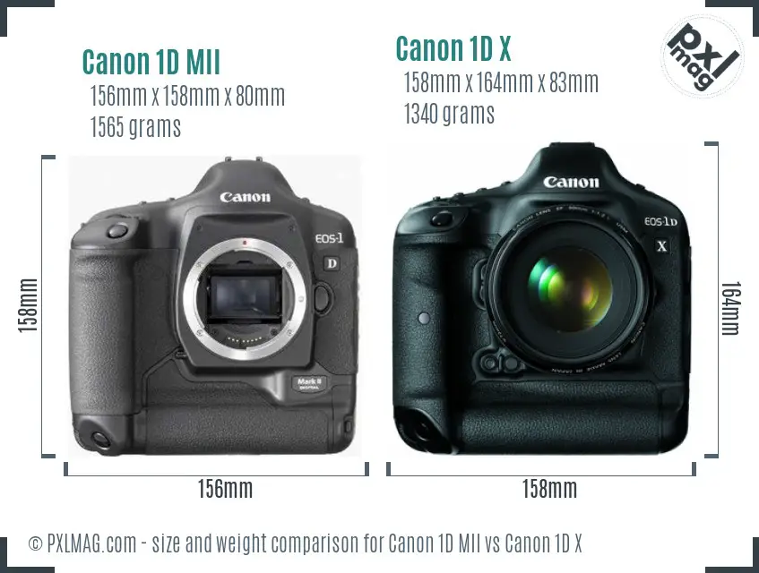 Canon 1D MII vs Canon 1D X size comparison
