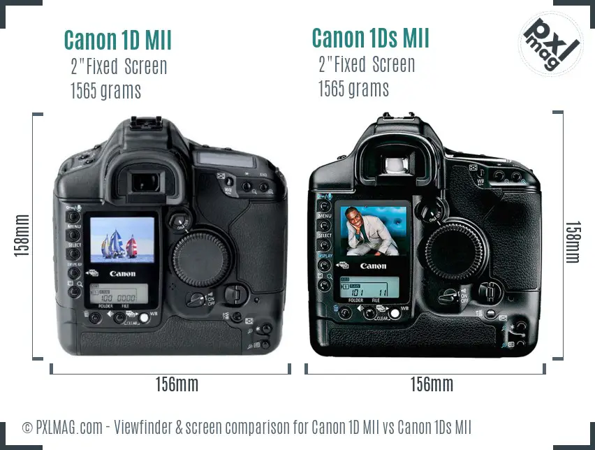 Canon 1D MII vs Canon 1Ds MII Screen and Viewfinder comparison