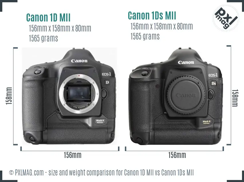 Canon 1D MII vs Canon 1Ds MII size comparison