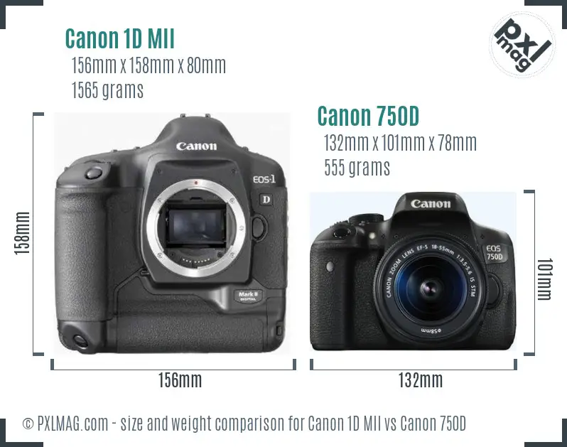 Canon 1D MII vs Canon 750D size comparison Canon 1D MII vs Canon 750D size comparison