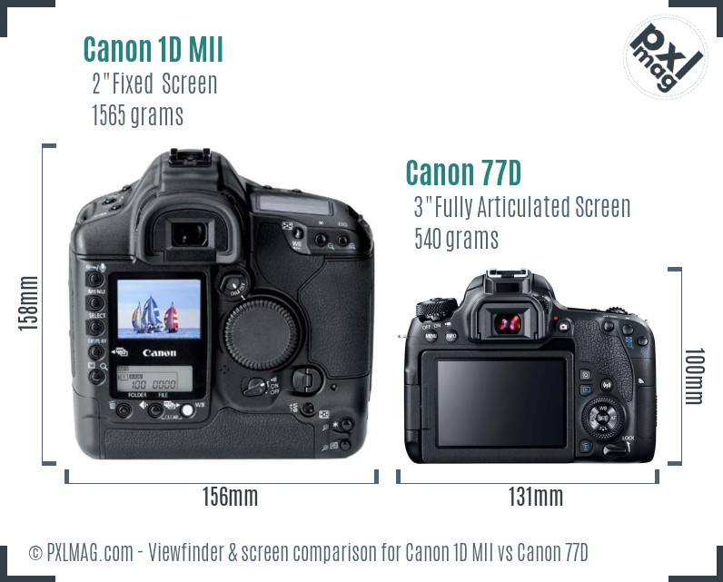 Canon 1D MII vs Canon 77D Screen and Viewfinder comparison