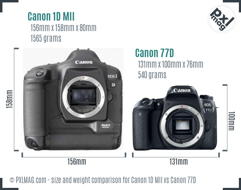 Canon 1D MII vs Canon 77D size comparison