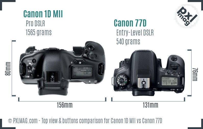Canon 1D MII vs Canon 77D top view buttons comparison
