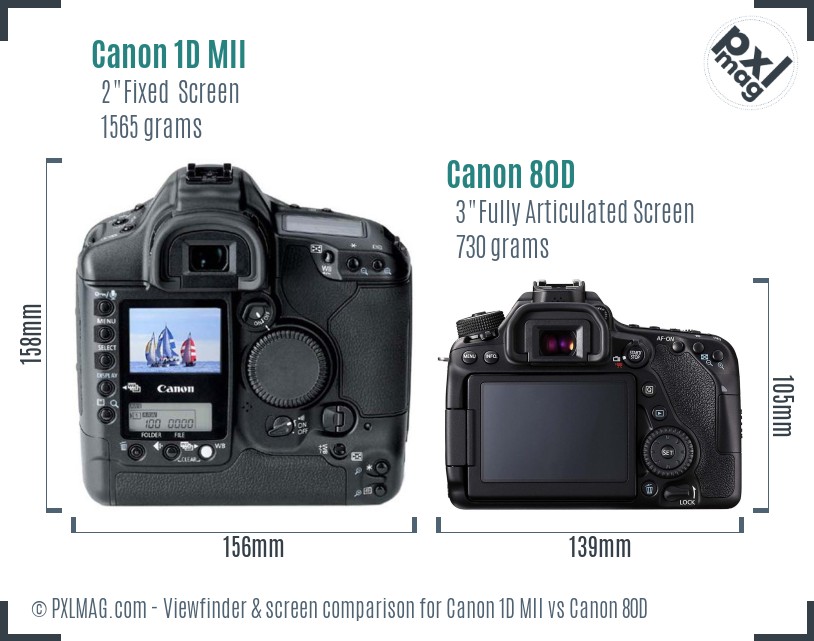 Canon 1D MII vs Canon 80D Screen and Viewfinder comparison