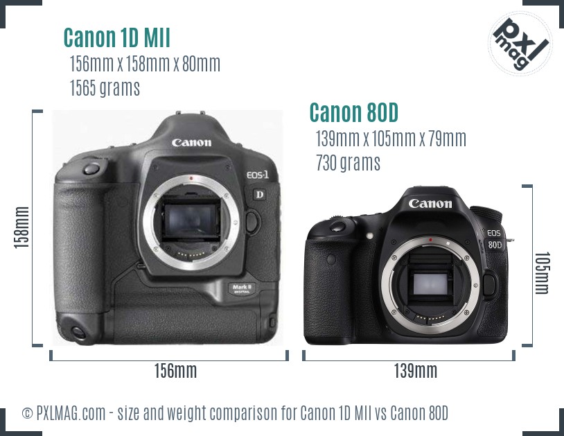 Canon 1D MII vs Canon 80D size comparison Canon 1D MII vs Canon 80D size comparison