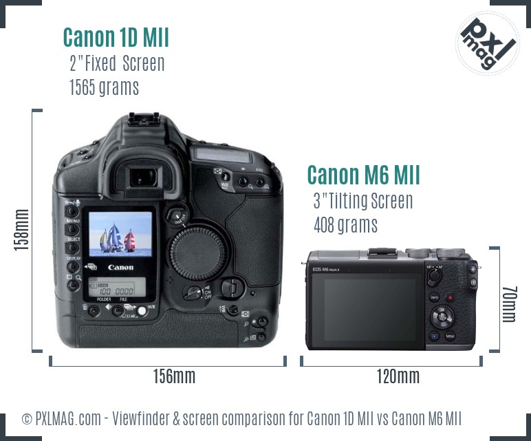 Canon 1D MII vs Canon M6 MII Screen and Viewfinder comparison