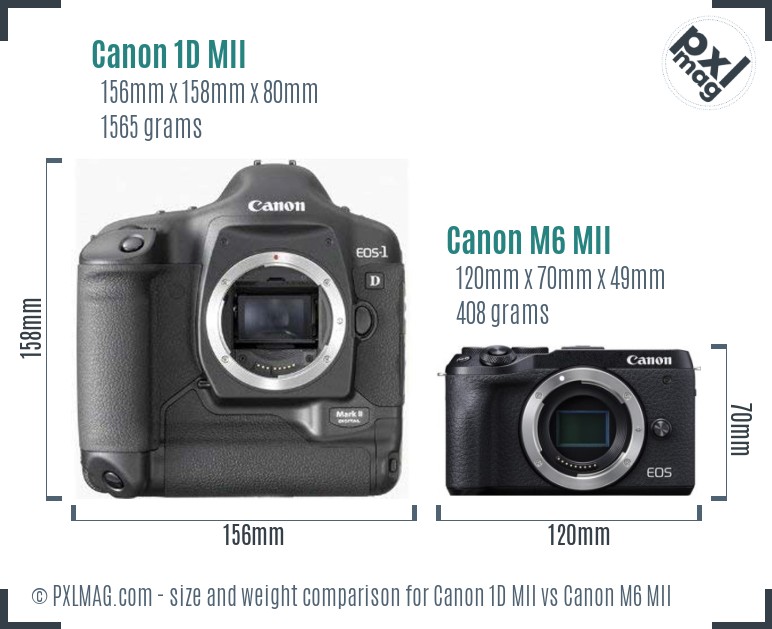 Canon 1D MII vs Canon M6 MII size comparison Canon 1D MII vs Canon M6 MII size comparison