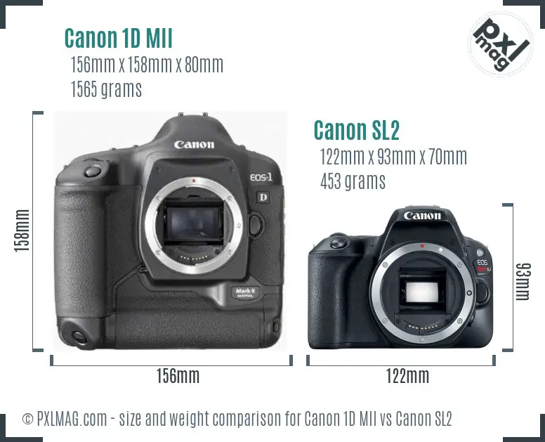 Canon 1D MII vs Canon SL2 size comparison Canon 1D MII vs Canon SL2 size comparison