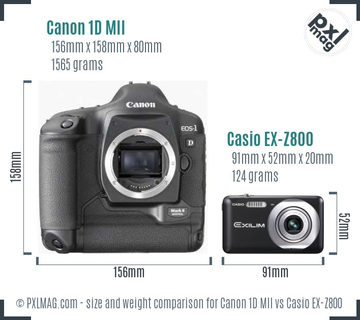 Canon 1D MII vs Casio EX-Z800 size comparison