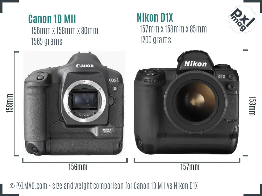 Canon 1D MII vs Nikon D1X size comparison