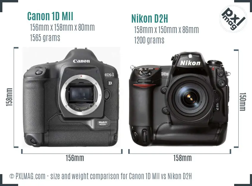 Canon 1D MII vs Nikon D2H size comparison
