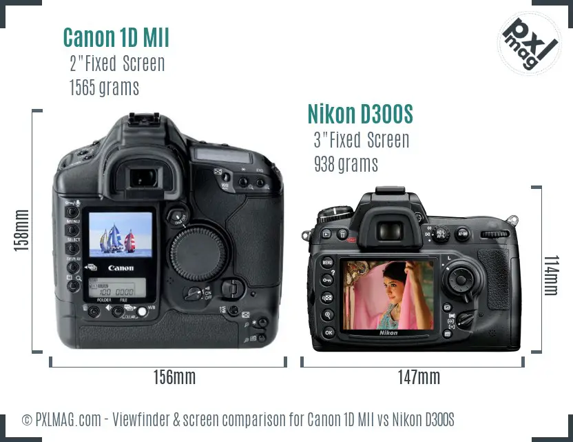 Canon 1D MII vs Nikon D300S Screen and Viewfinder comparison