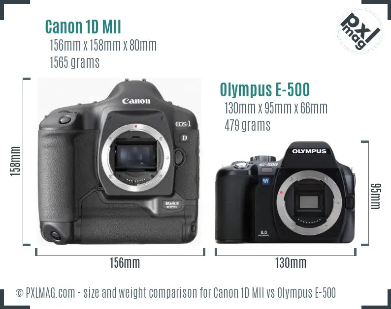 Canon 1D MII vs Olympus E-500 size comparison