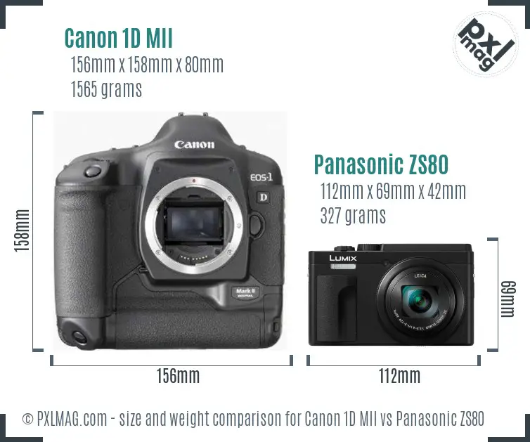 Canon 1D MII vs Panasonic ZS80 size comparison